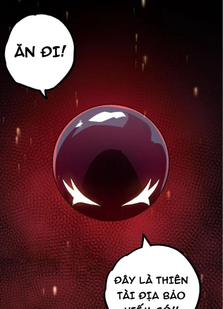 từ cây cổ thụ bắt đầu tiến hóa chapter 97 148