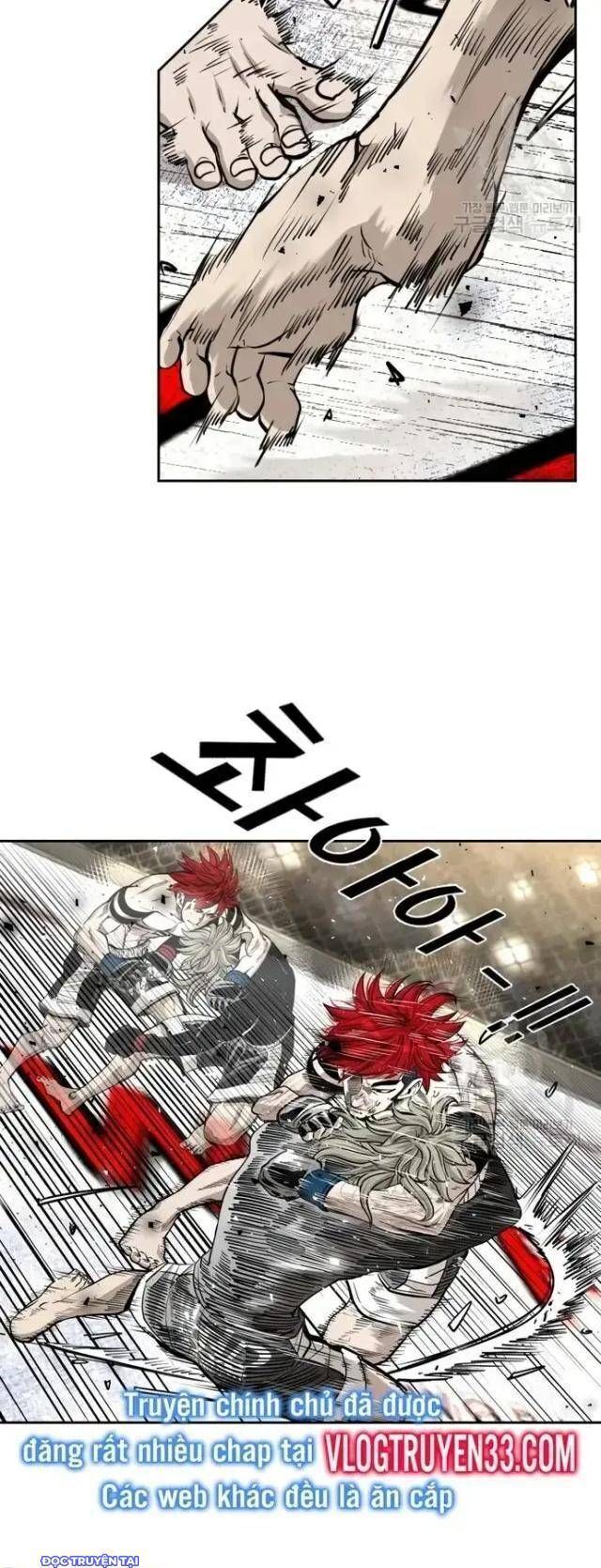 shark - cá mập chapter 205 11