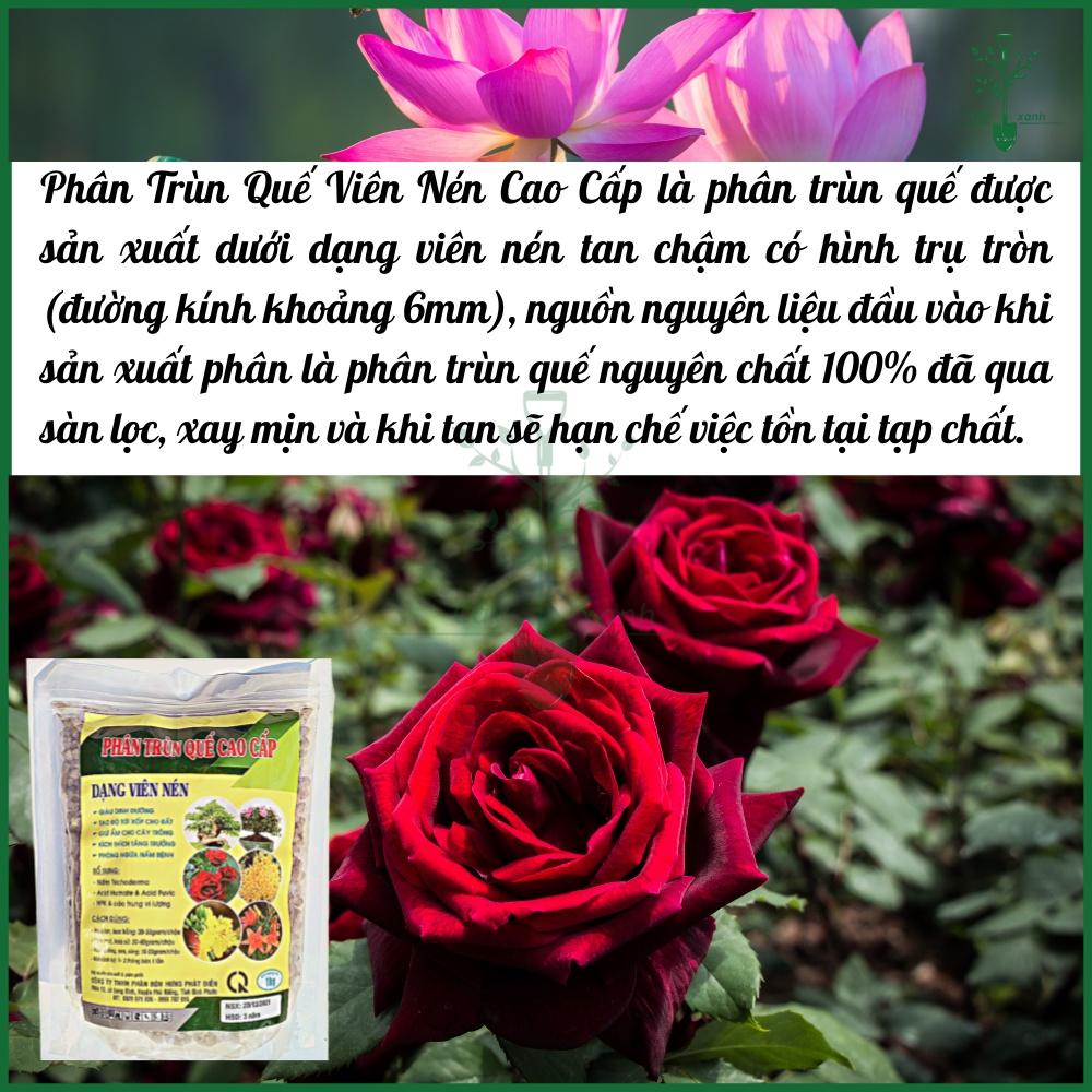 Phân Bón Trùn Quế Viên Nén HPD 1Kg Cao Cấp Phân Bón Hữu Cơ Chuyên Cho Lan Và Cây Kiểng