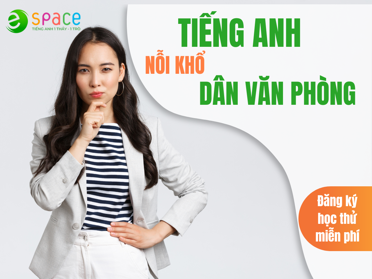 [e-space.v] khóa học tiếng Anh giao tiếp online 1 kèm 1