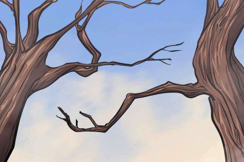 tôi trở lại thăng cấp một mình chapter 110 201