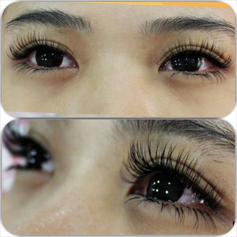 NỐI MI CLASSIC