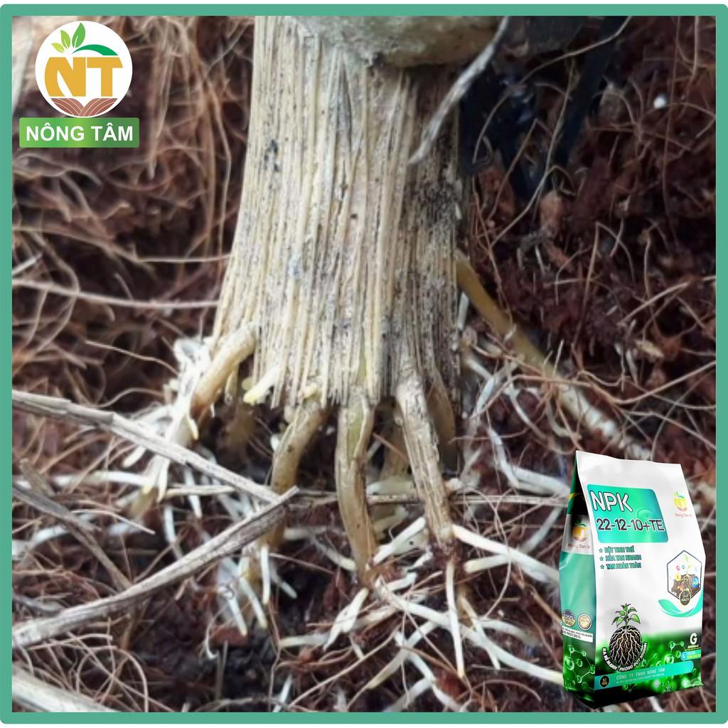 Phân bón NPK 22-12-10+TE bổ sung vi lượng, kích rễ mạnh chuyên cho cây ăn quả, gói 5kg
