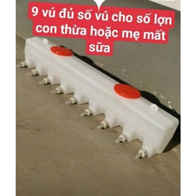 BÌNH BÚ CHO HEO