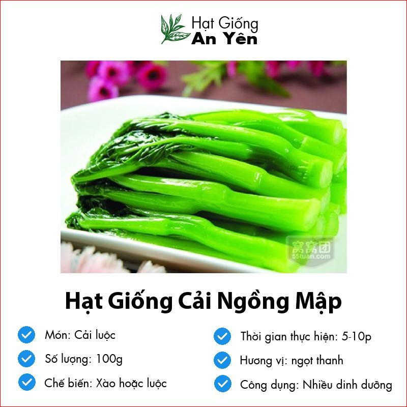 Hạt giống Cải Ngồng Mập, nhanh thu hoạch, dễ trồng, nảy mầm và năng suất cao