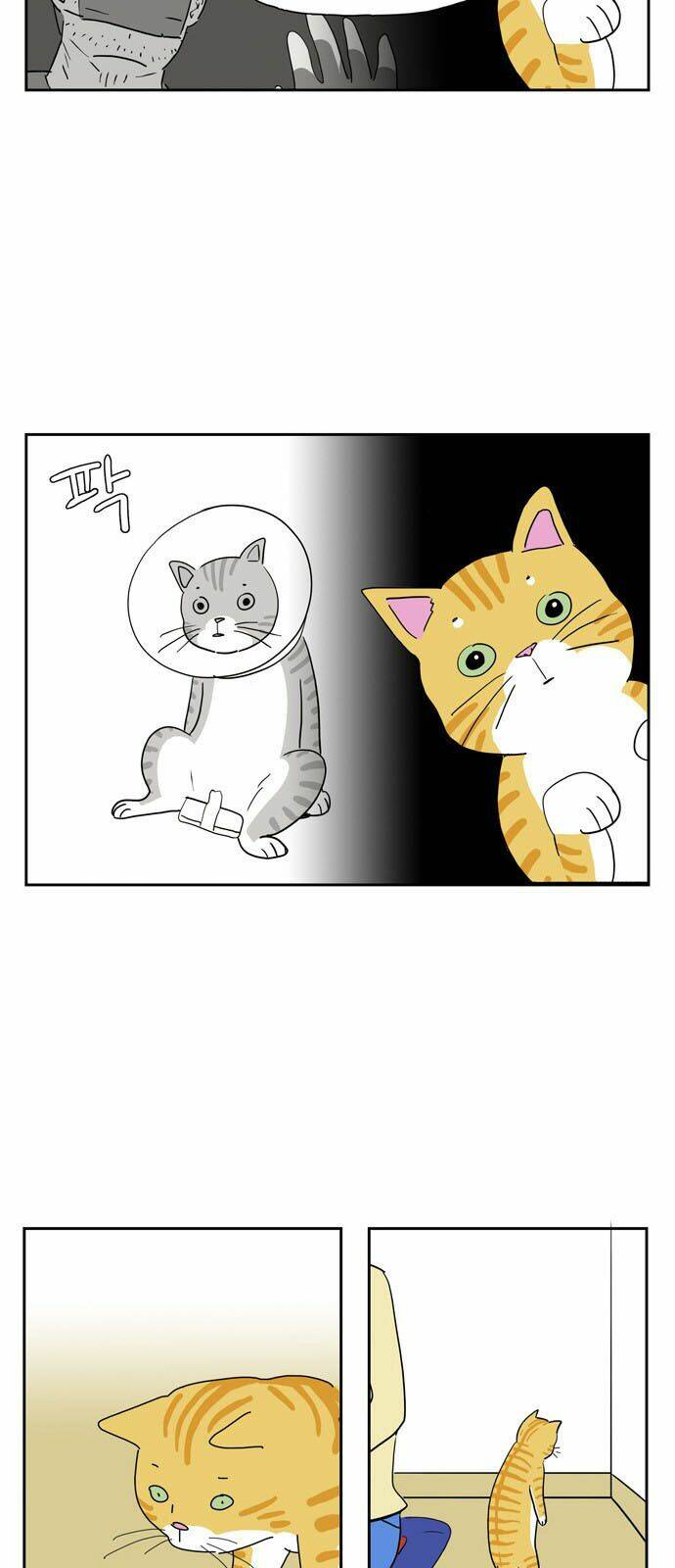 con gái tôi là zombie chapter 21 11