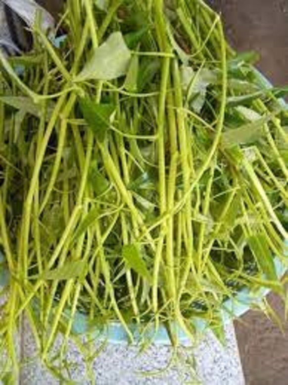 Hạt giống rau muống siêu ngọn -10gram/gói-tặng kèm gói phân bón lót