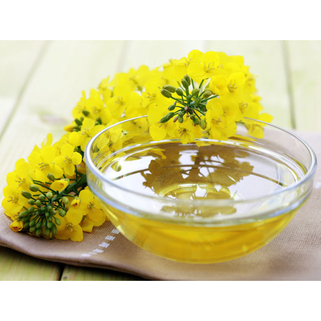 Dầu Hoa Cải Ajinomoto Bảo Vệ Sức Khỏe, Chăm Sóc Sắc Đẹp - Nội Địa Nhật Bản