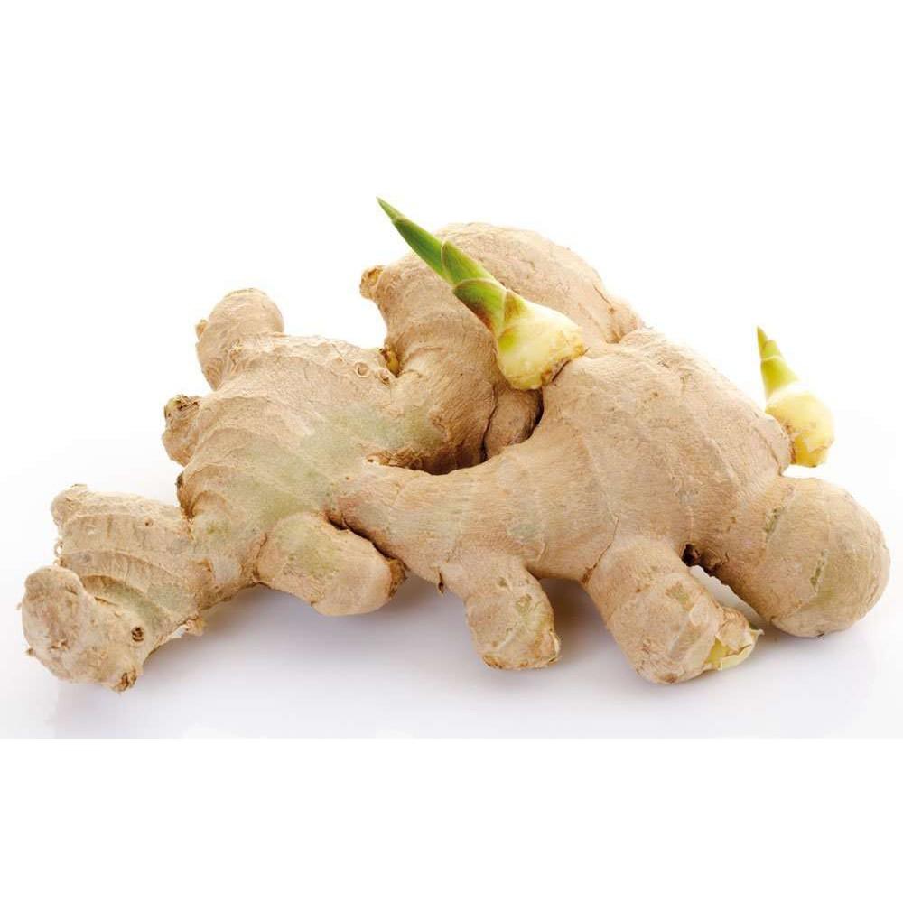 Gừng Lát Sấy Khô Ông Chà Và 1kg (Dried Ginger Flakes)