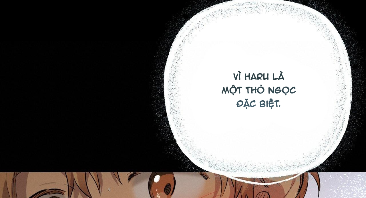 đàn thỏ của habibi chapter 27 104