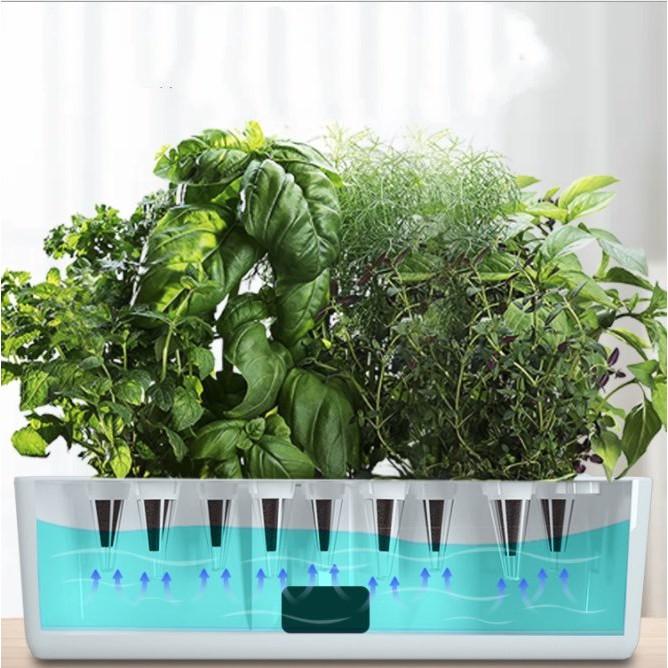 Máy Giúp Cây Trồng Nảy Mầm Gốc Nhanh Có Tích Hợp Led UV Smart Cultivation