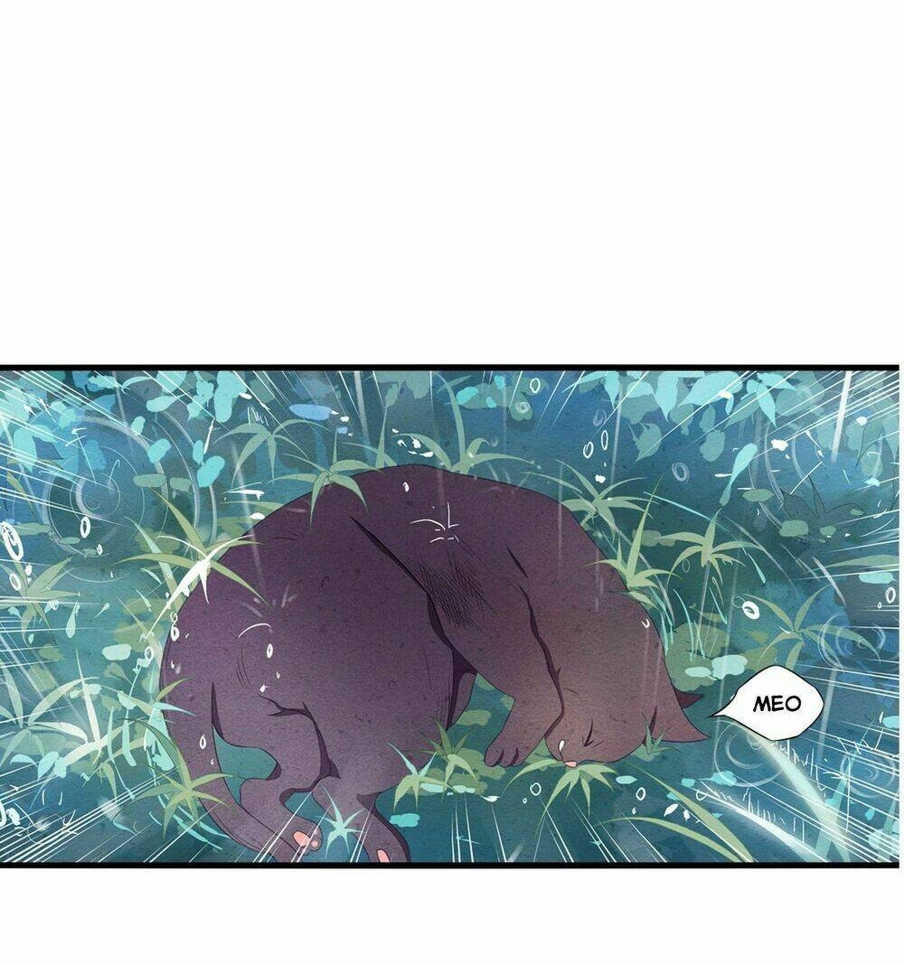 làm mèo của ta chapter 0 9