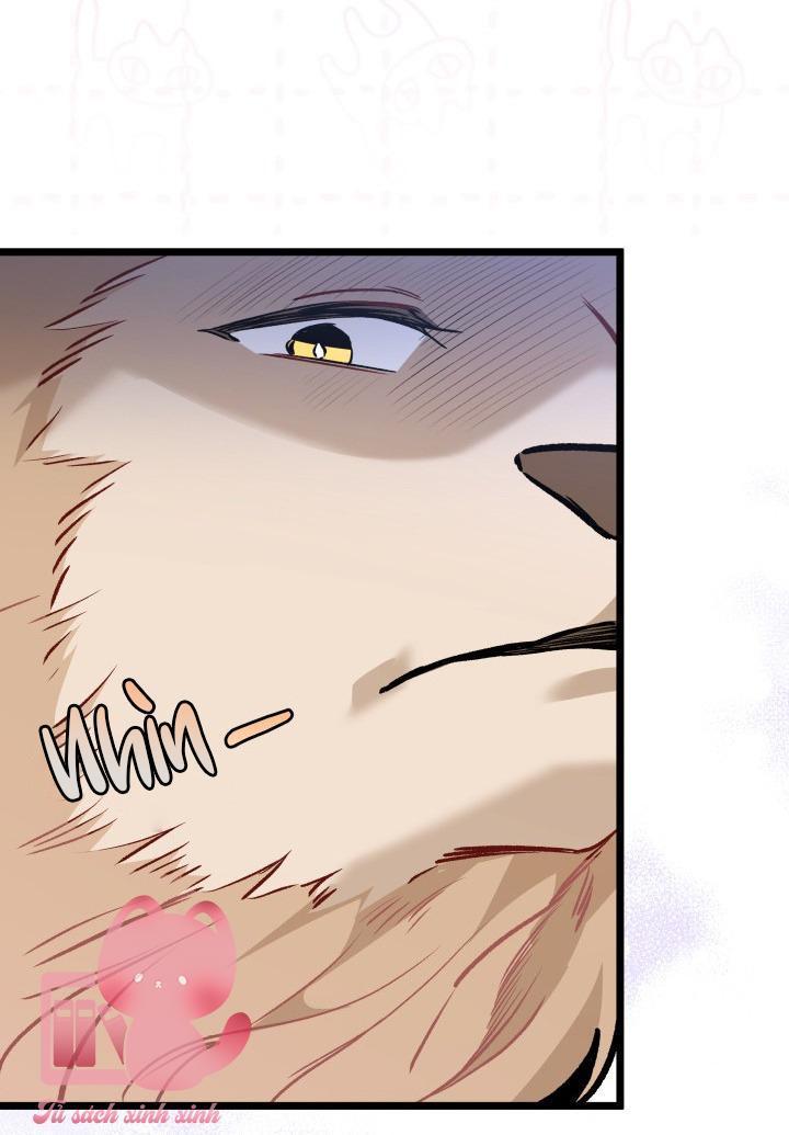 quan hệ cộng sinh giữa báo đen và thỏ trắng chapter 106 34