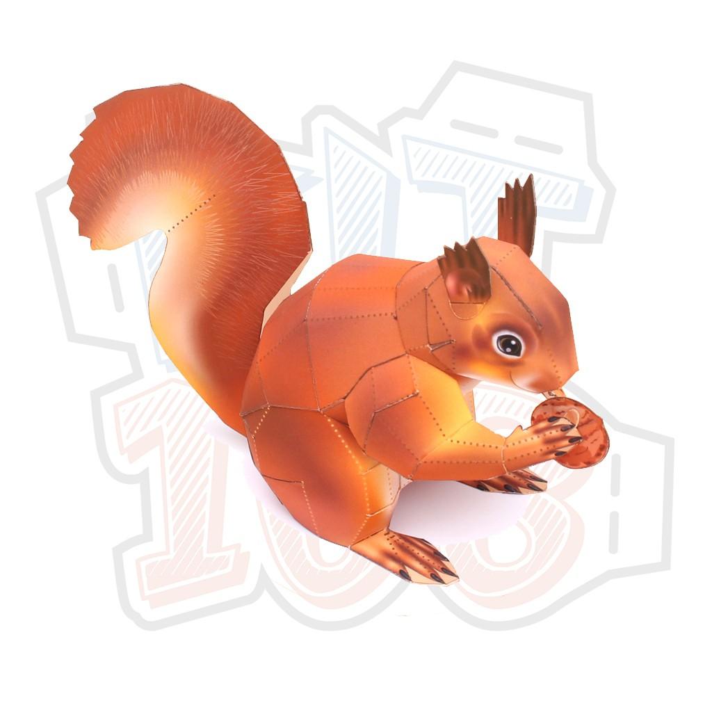 Mô hình giấy động vật sóc American Red Squirrel
