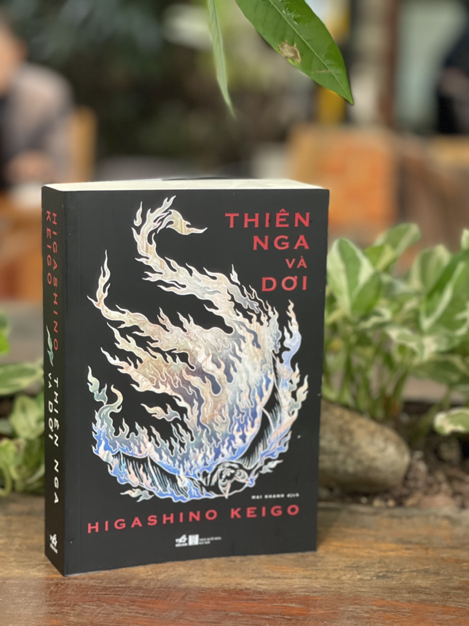 THIÊN NGA VÀ DƠI - Higashino Keigo - Mai Khanh dịch - Nhã Nam - NXB Hà Nội