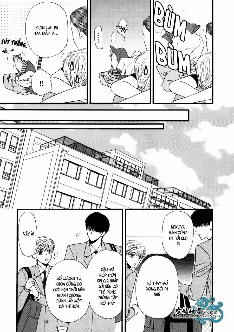 neko neko honey chapter 8 18