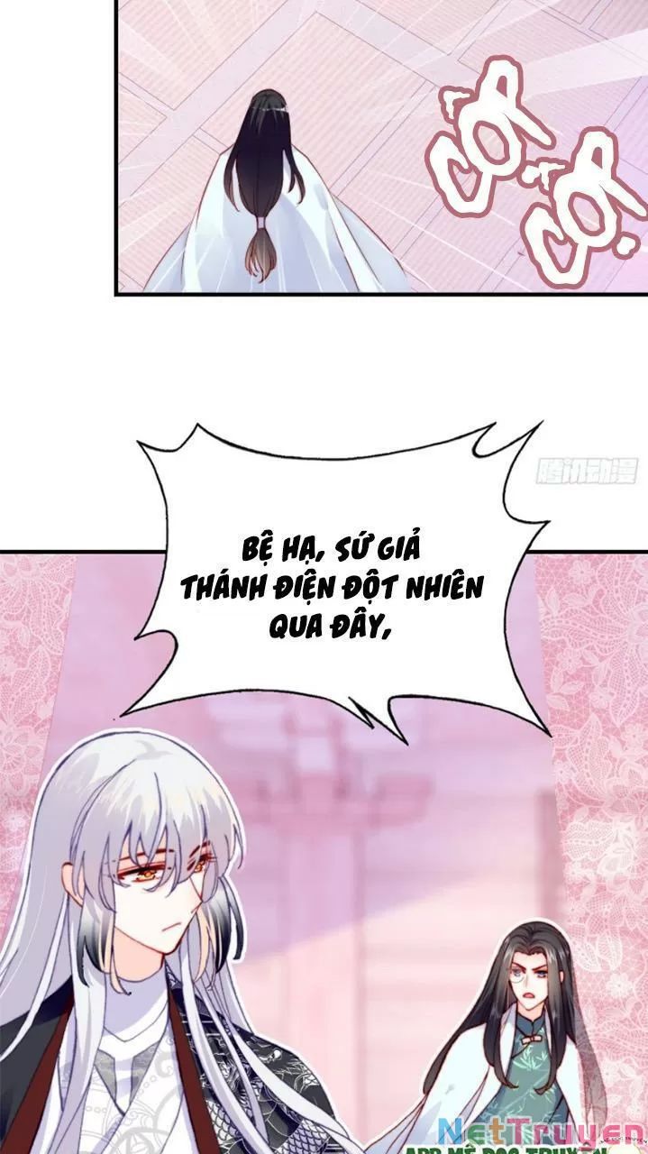 lại bị bệnh chiều chuộng quấn lấy chapter 27 31