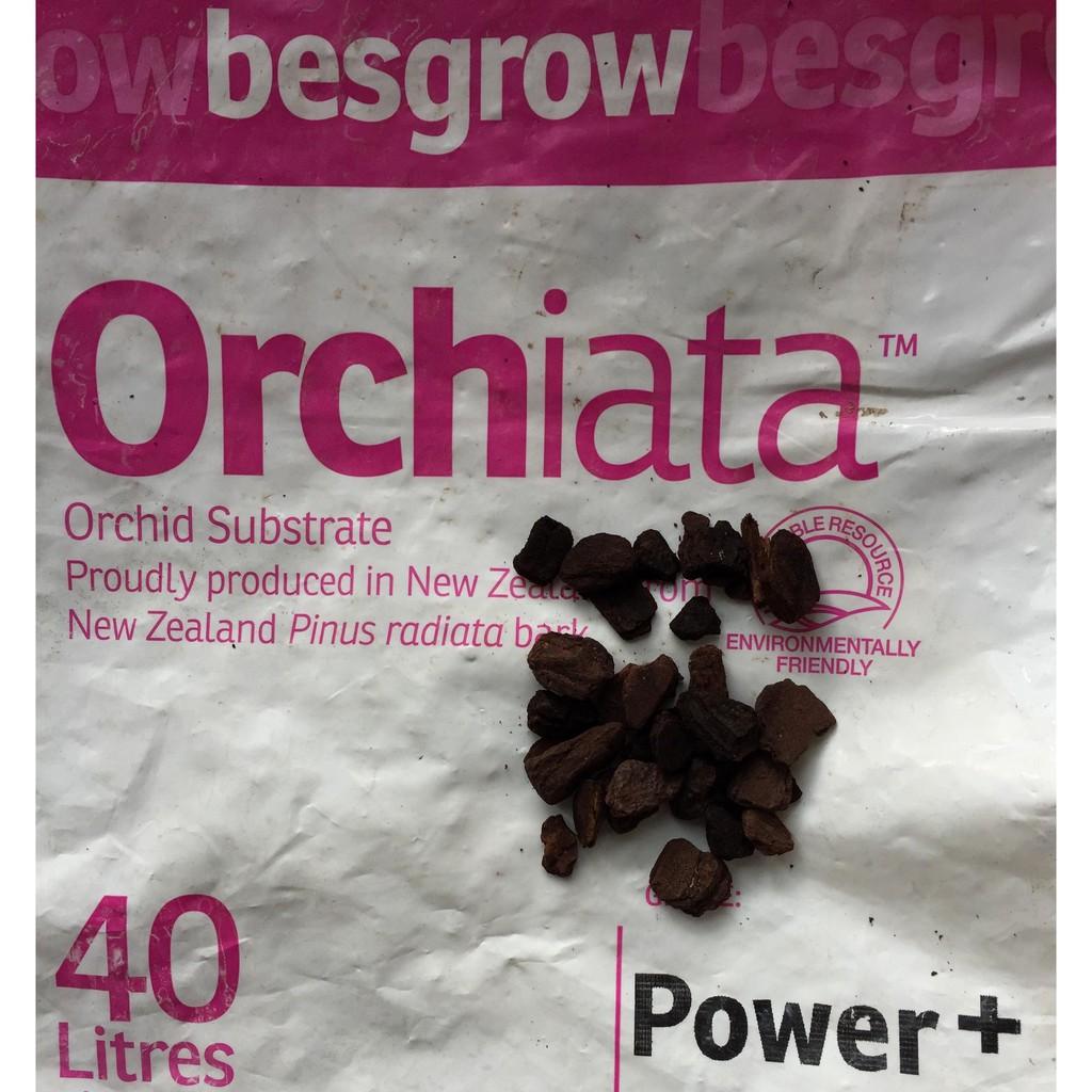 Vỏ thông nhập khẩu Newzealand size 9-12 mm gói 1 kg