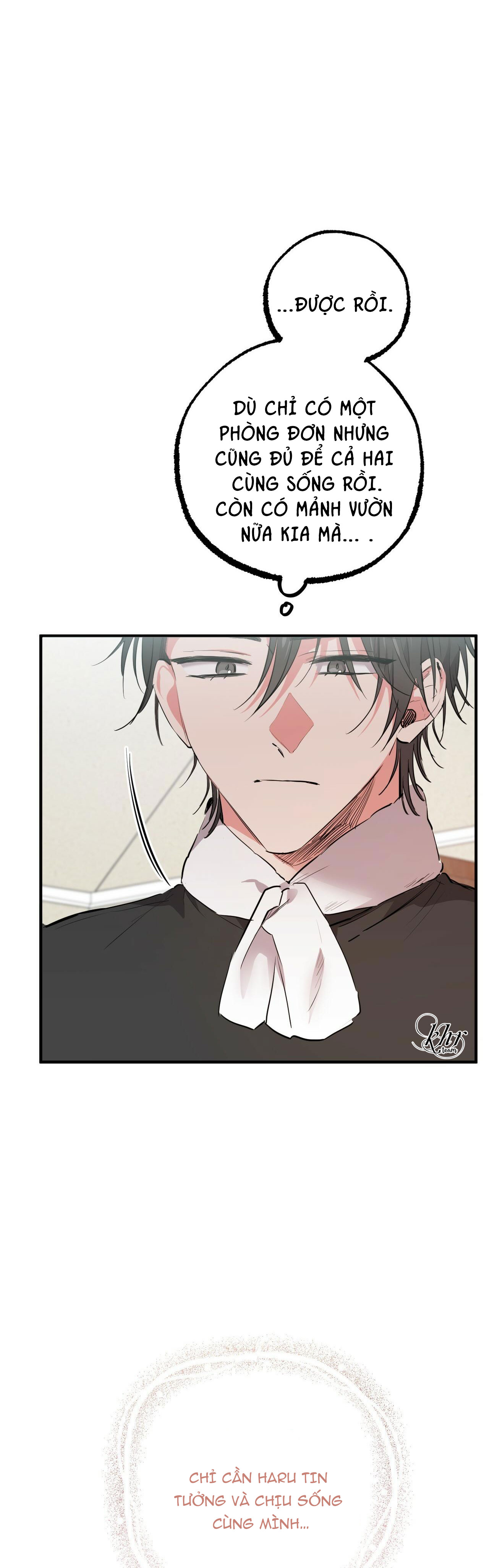 những chú thỏ của hapypy chapter 31 36