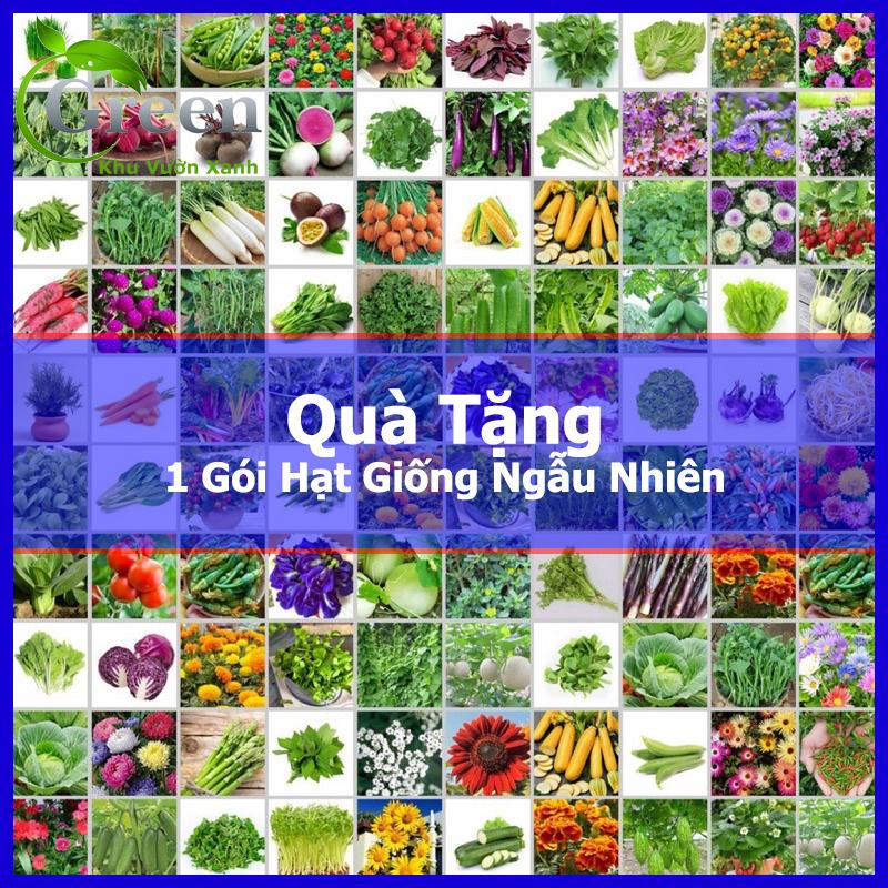 Hạt Giống Cà Chua Các Loại (Bi Lùn Đỏ, Cà Chua Cherry, Thân Gỗ, Leo Giàn,...) Dễ Trồng, Nảy Mầm Tốt