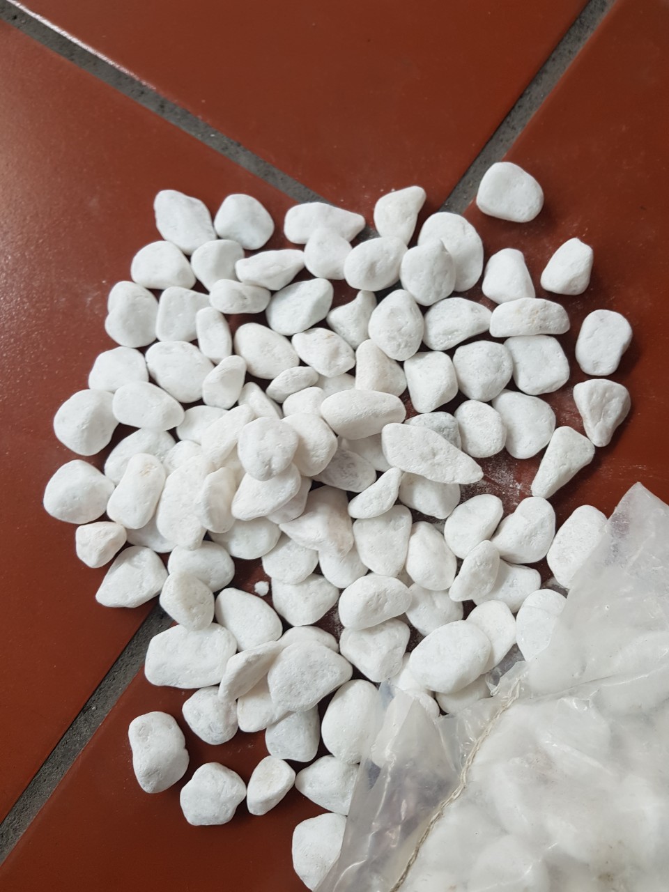 Sỏi trắng trang trí chậu cây