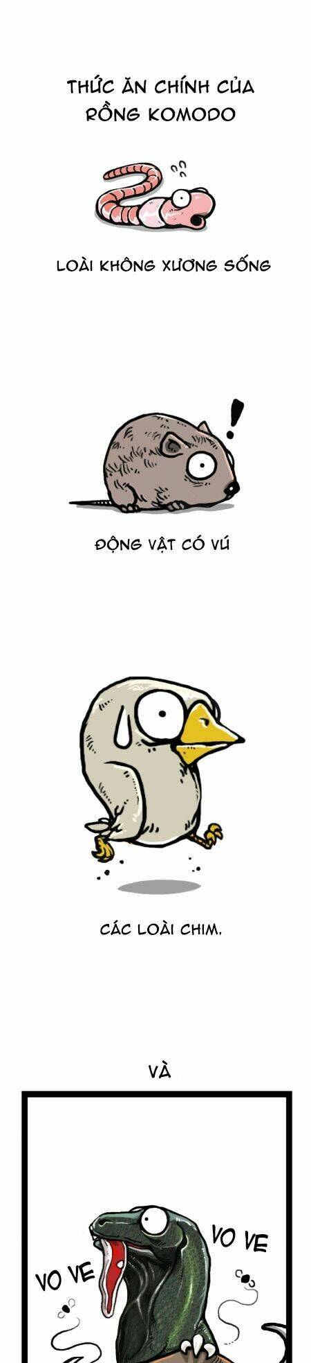 earth, human, and animal chapter 26 18