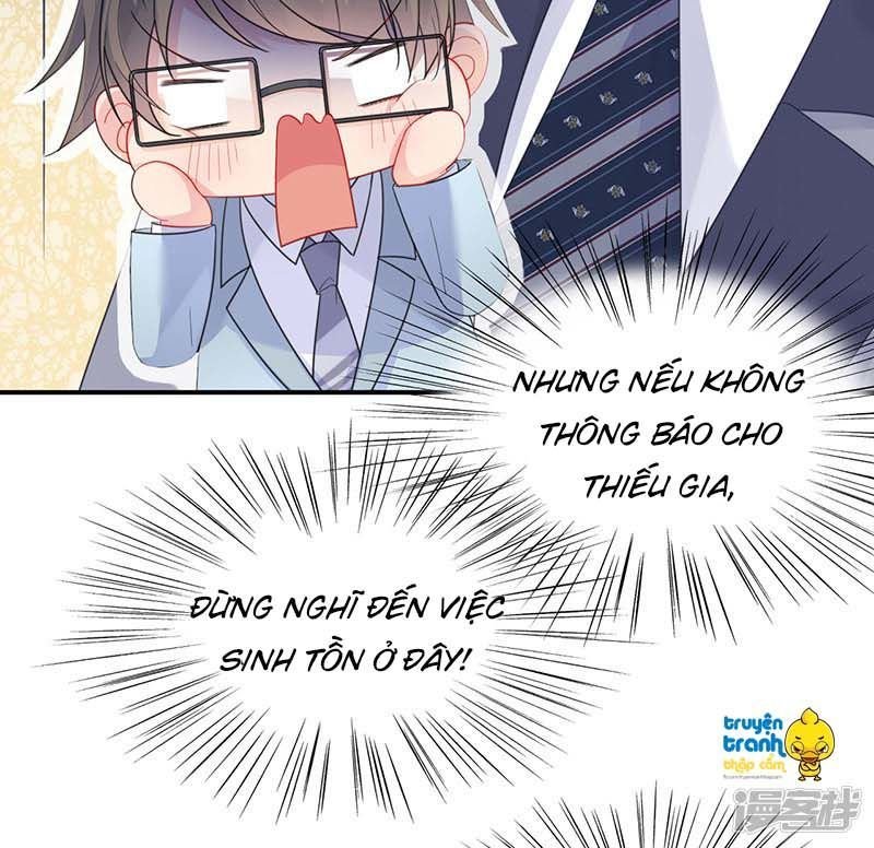 chọc tới chủ tịch tổng tài 2 chapter 820 231