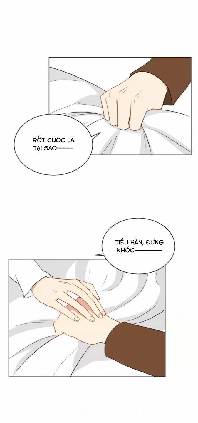 chào buổi sáng, hướng dương chapter 39 22