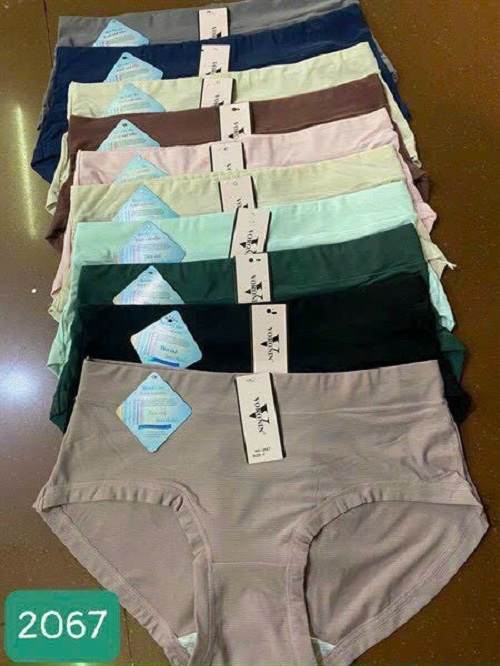 Combo 5 quần lót nữ thun lạnh thông hơi Voronin 2067 – Mát mịn, co giãn 4 chiều, không hằn viền