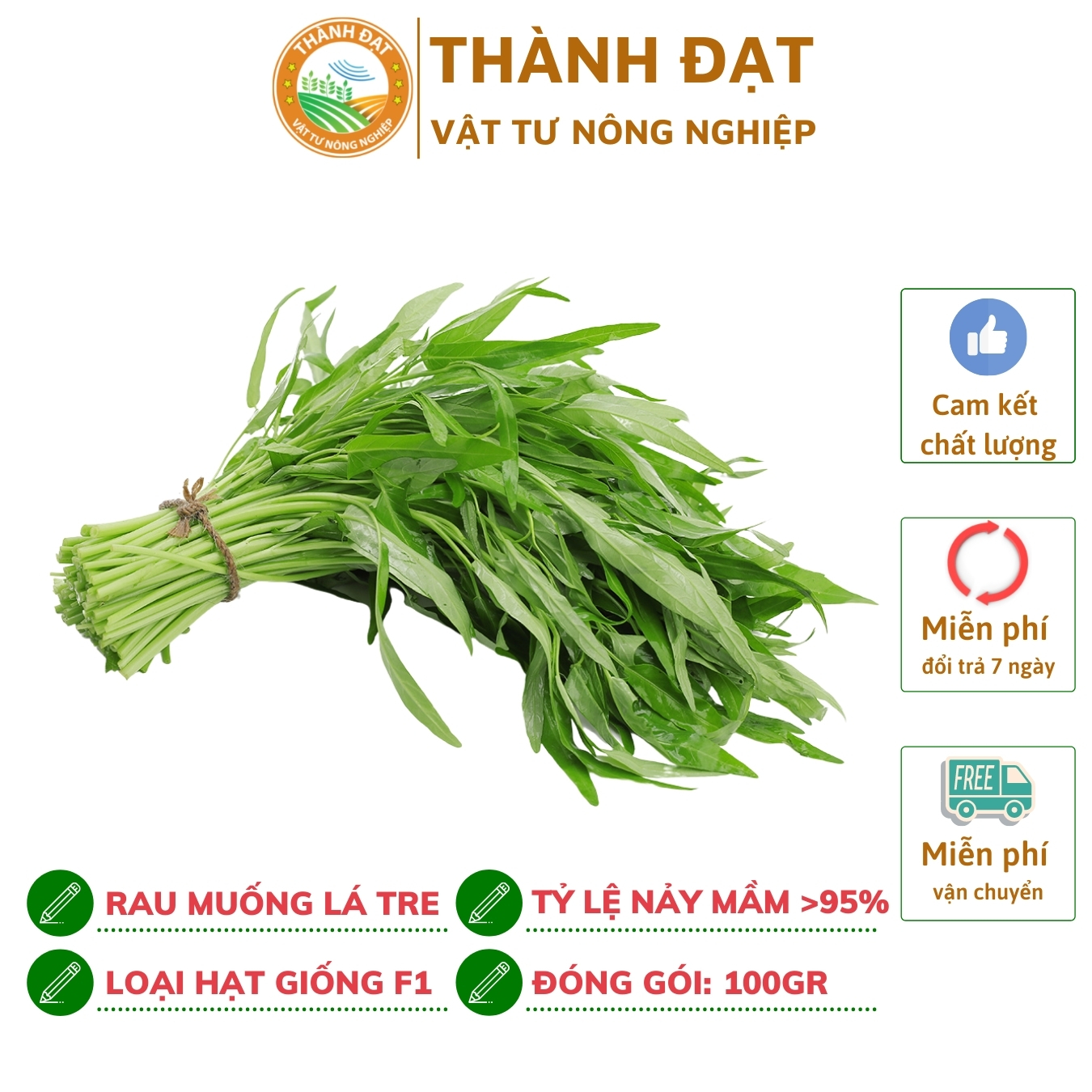 100gr Hạt giống rau muống lá tre cao sản