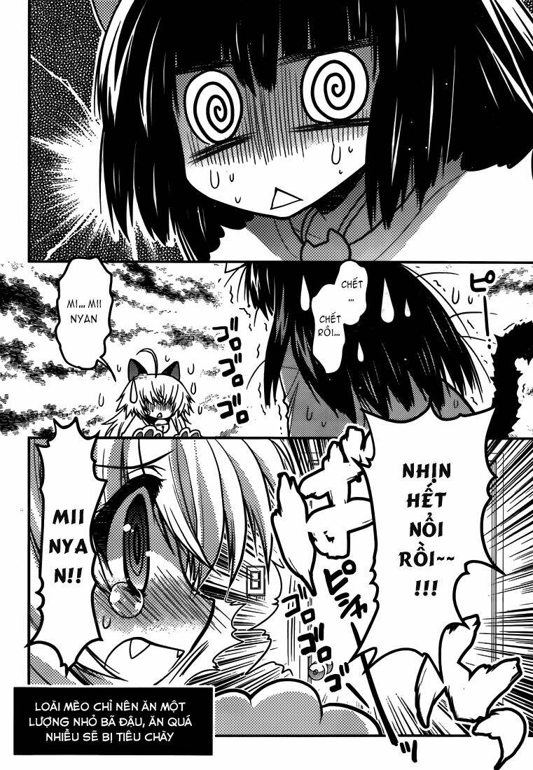 tamanyan chapter 4 23