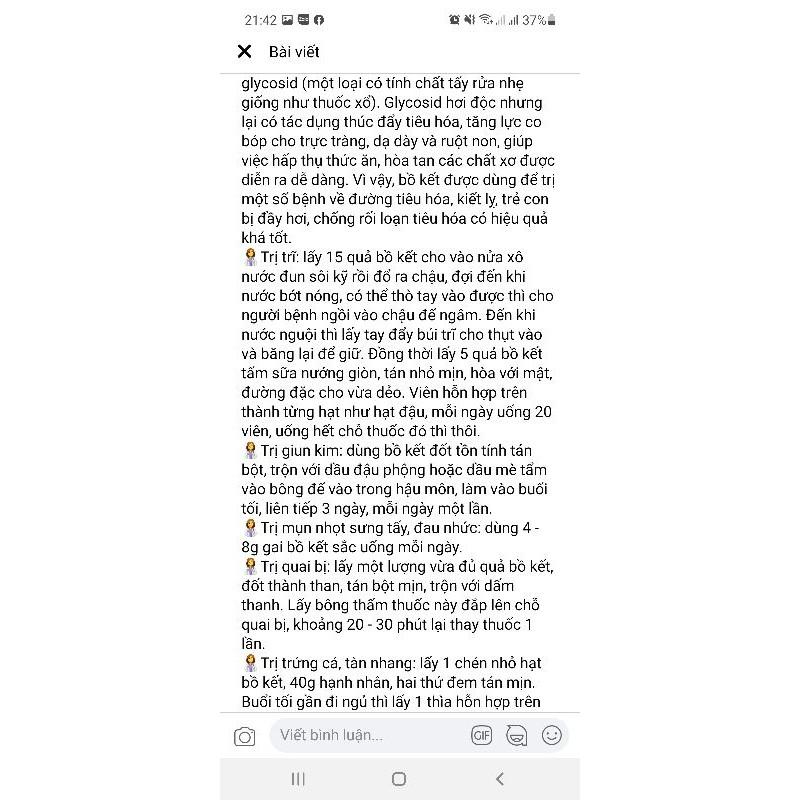 Cây giống bồ kết kết