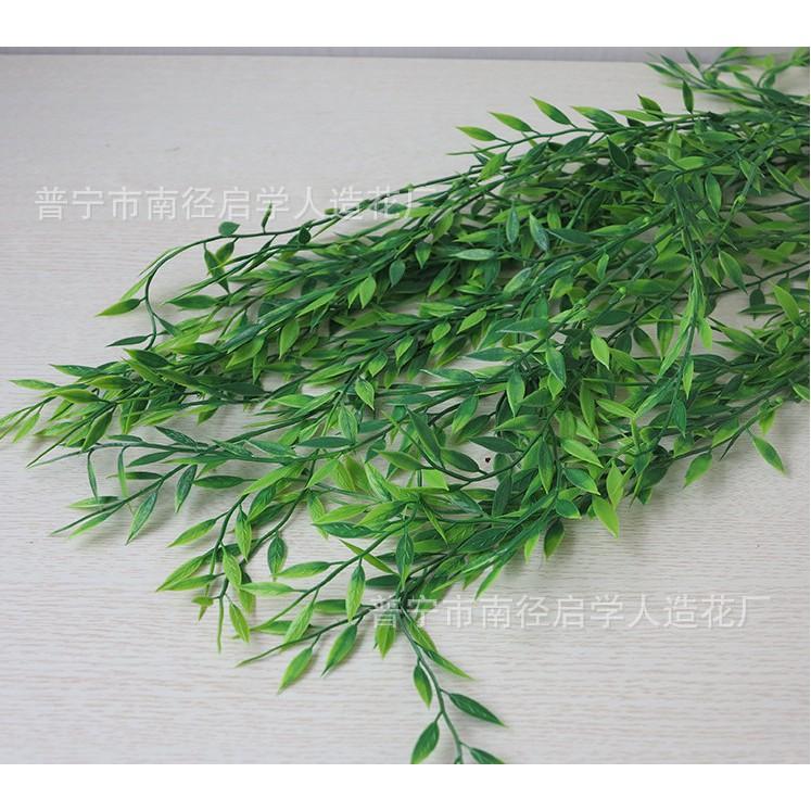 Chùm lá liễu xanh treo tường