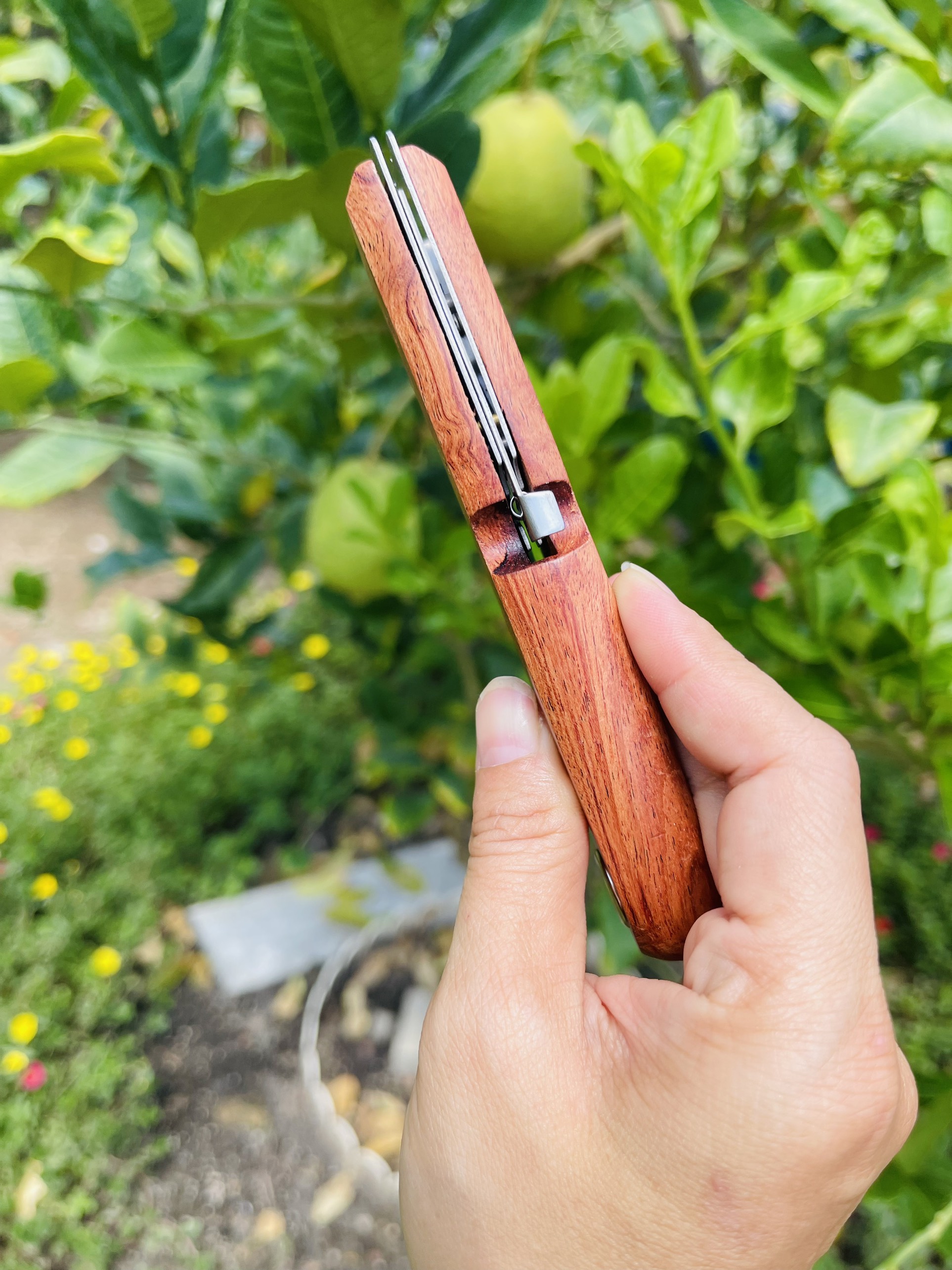 Dao chiết cành cán gỗ