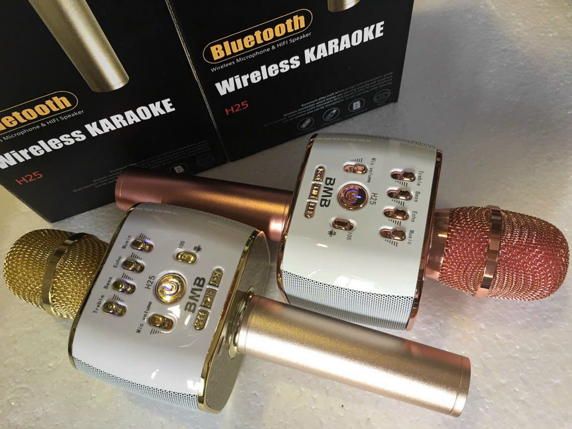 Micro karaoke Bluetooth H25