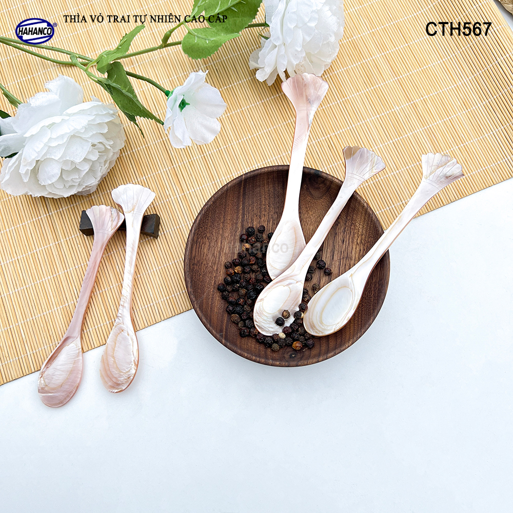 Muỗng Cà Phê Gia Vị Bằng Xà Cừ Tiêu Chuẩn Xuất Khẩu - HAHANCO - CTH567