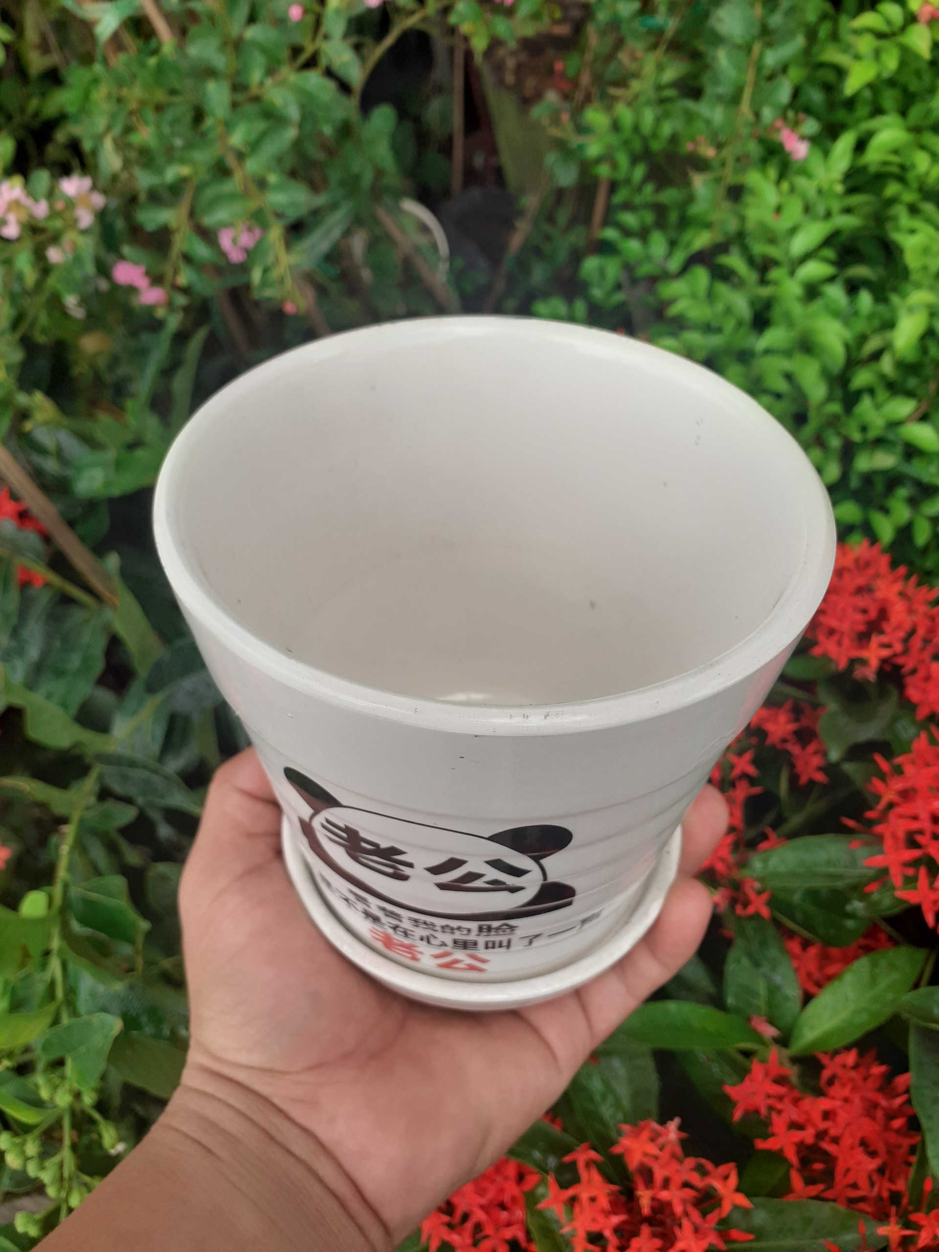 Chậu sứ tròn kèm dĩa trắng gấu panda kung fu