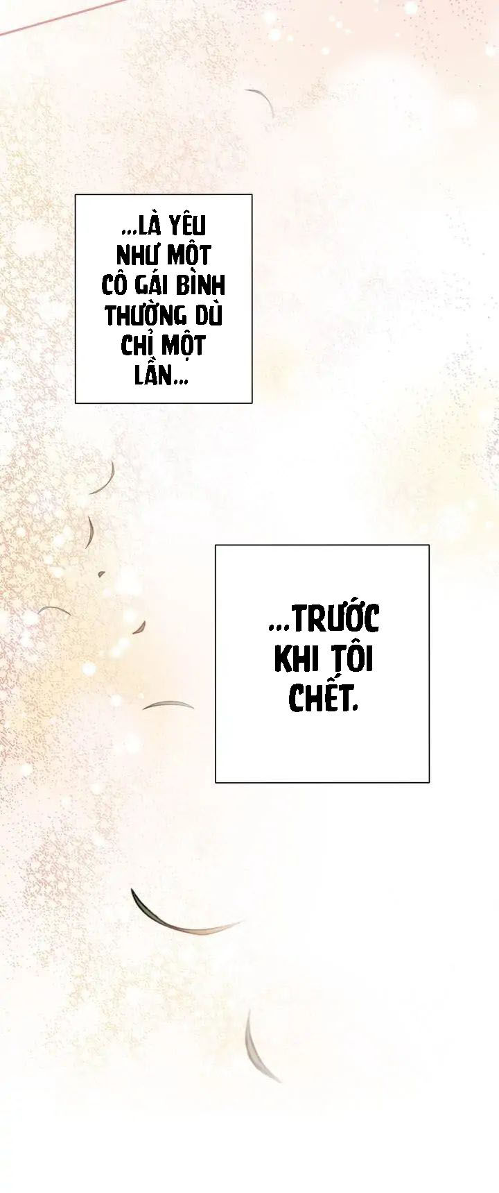 cô dâu thiên đàng chapter 67.2 12