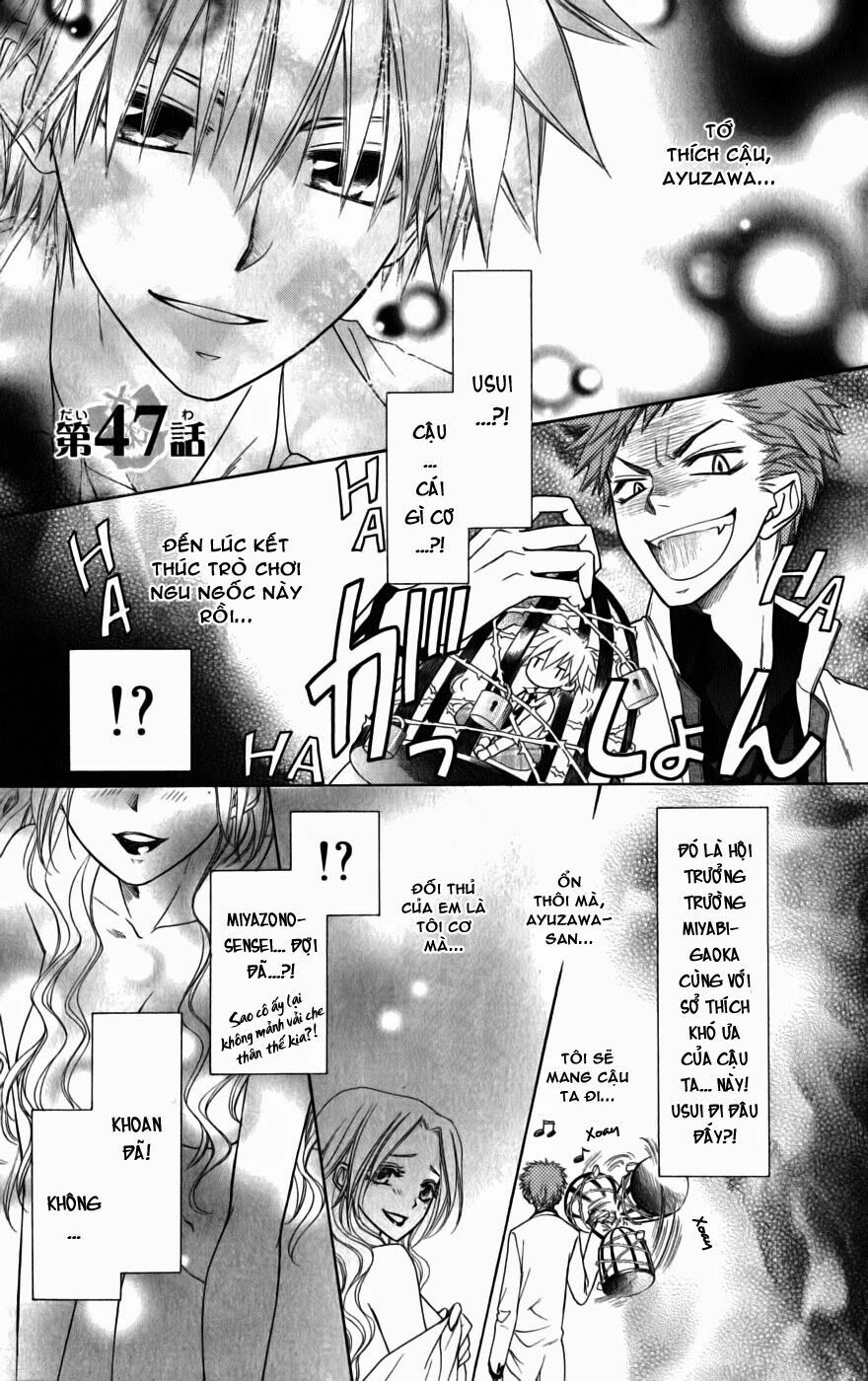 khi sếp là hầu bàn chapter 47 5