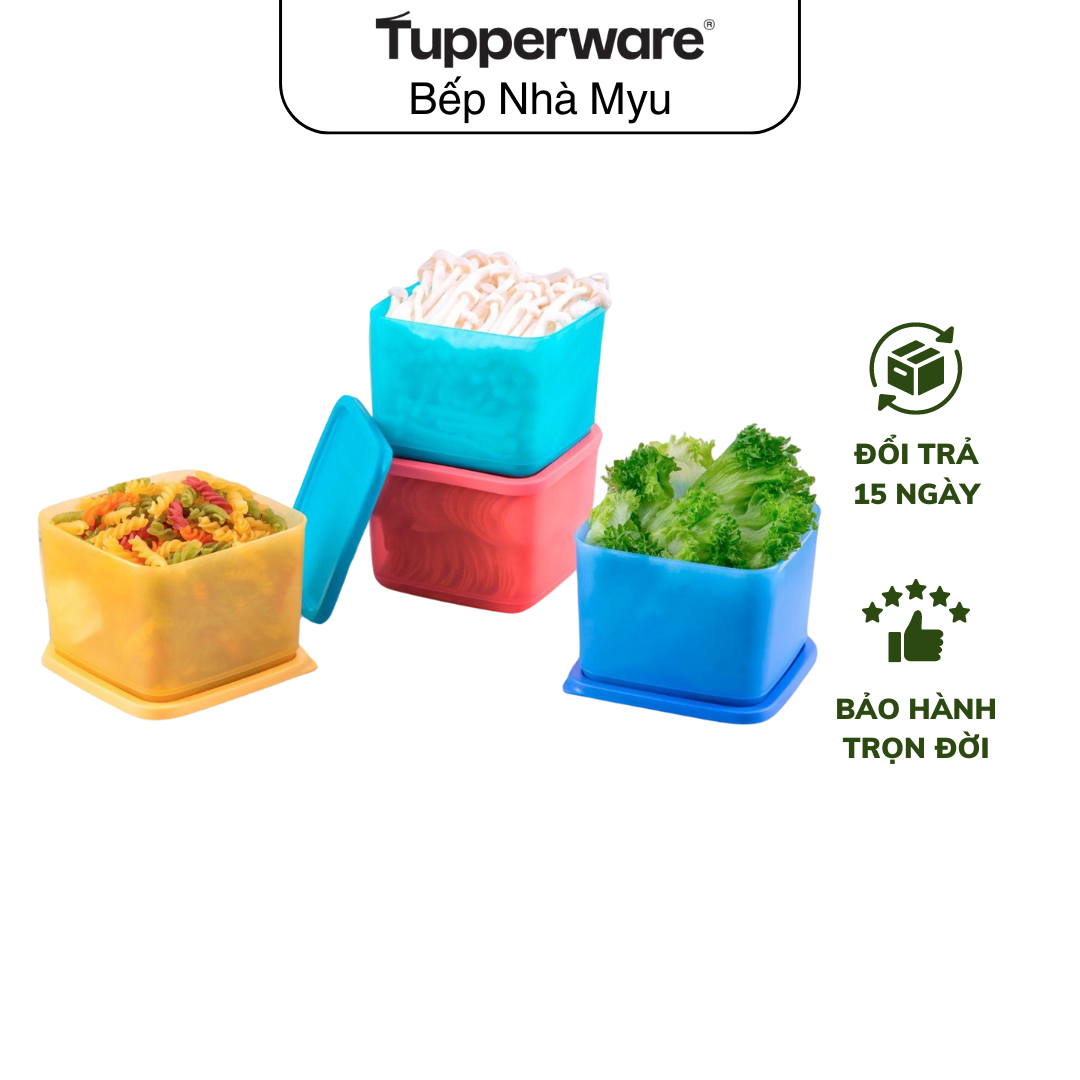 Bộ Hộp Tupperware Bảo Quản Thực Phẩm Ngăn Mát Medium Square Round 1L (04 Hộp)