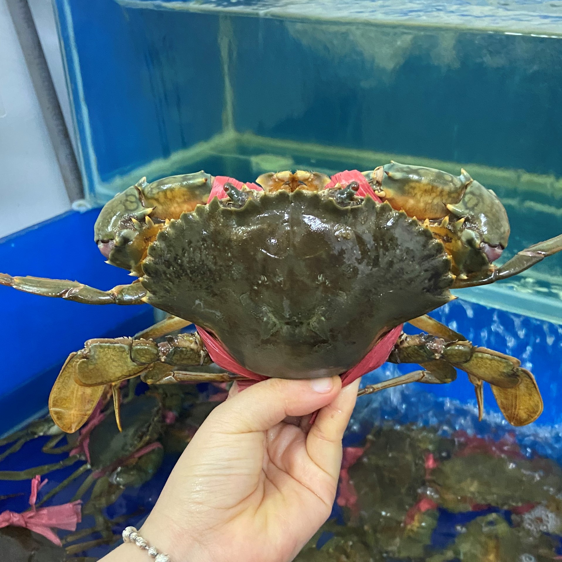 Cua cà mau 1kg