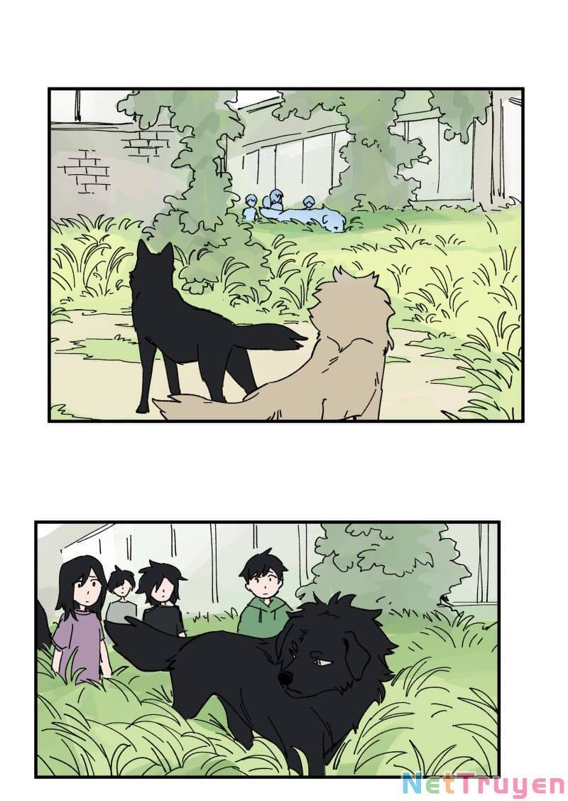 lumine - cội nguồn ánh sáng chapter 163 17