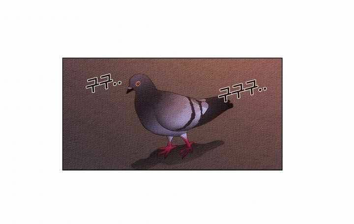 thước phim sự thật chapter 19 72