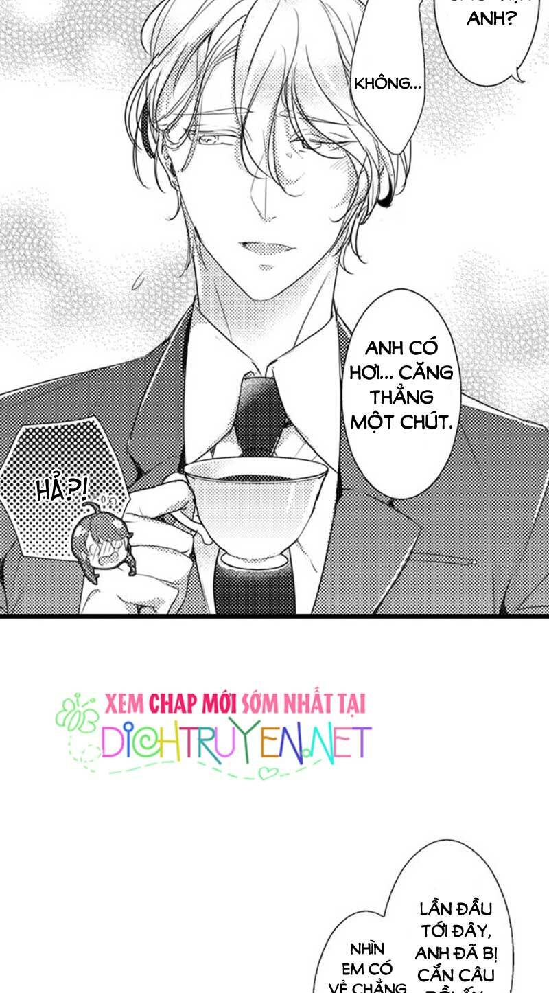 sai rồi, sếp tây nhà tôi không phải là quý ông đâu! chapter 21 3