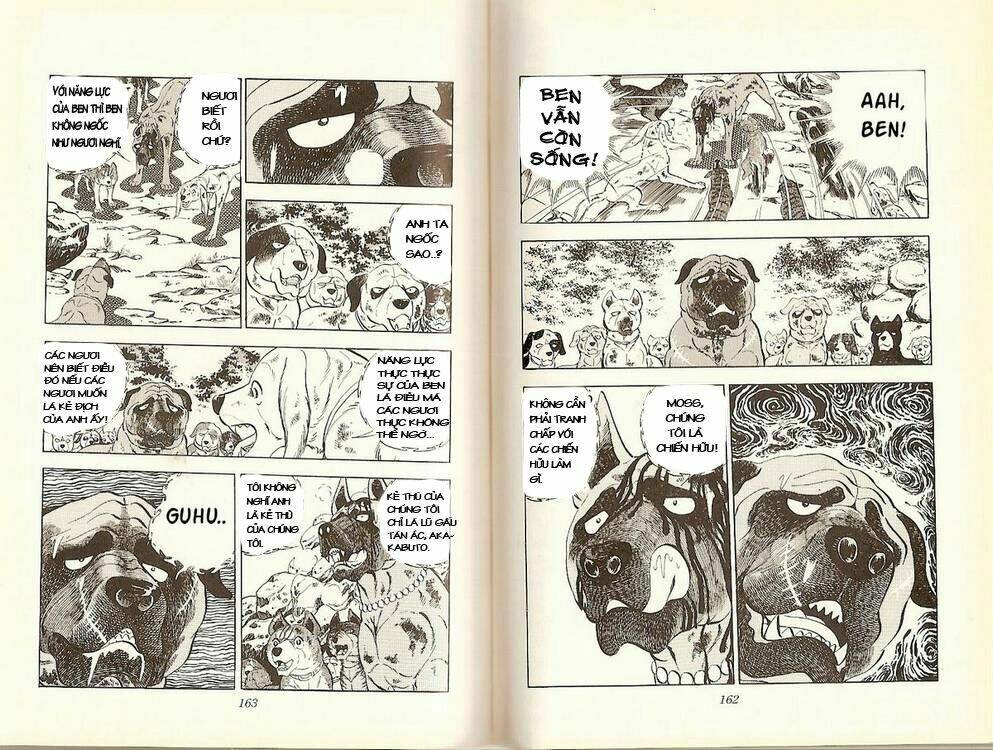 chú chó có nghĩa - ginga nagareboshi gin chapter 16 29