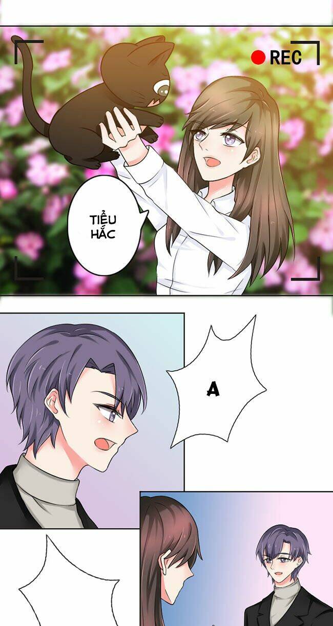 tổng tài ma cà rồng tha cho tôi chapter 23 10