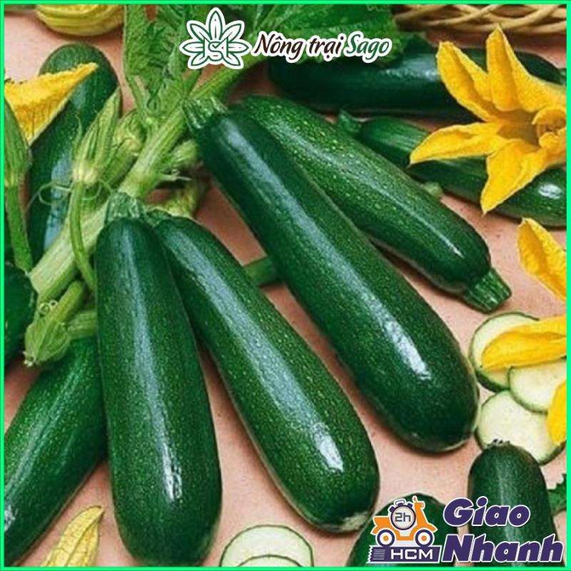 Hạt giống Rau Củ Quả - Dây Leo Trồng Quanh Năm, Sinh Trưởng Khỏe - Nông Trại Sago