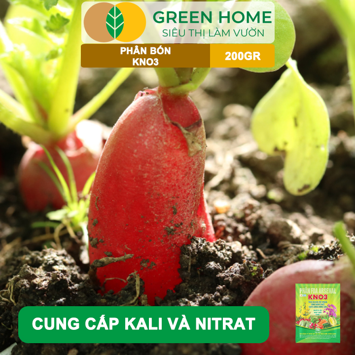 Phân Bón Lá KNO3 GreenHome, Gói 200gr, Nguyên Liệu Nhập Khẩu Israel, Kích Hoa, Đậu Quả Tốt