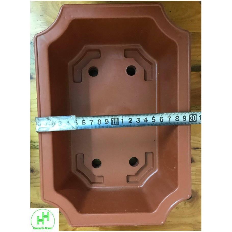 Combo 5 Chậu Nhựa Trồng Cây Mini Hình Chữ Nhật Màu Nâu Siêu Đẹp Kích Thước 28x20x8 Cm