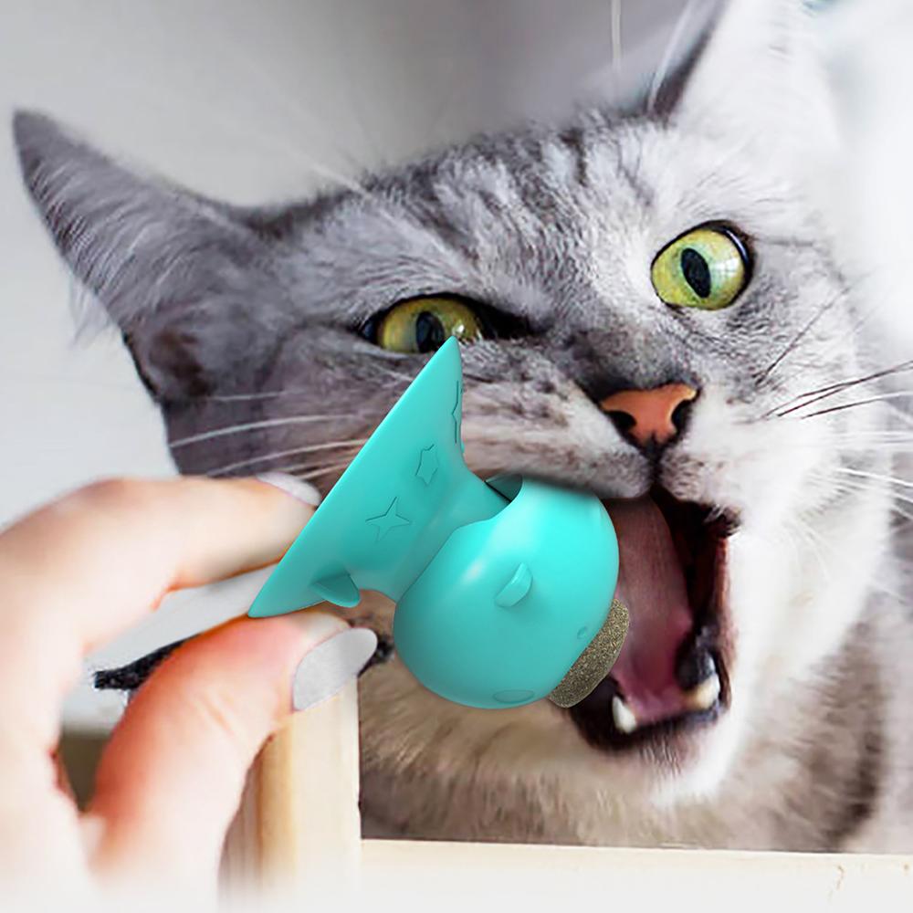 Đồ chơi liếm cho mèo hình mũi lợn Làm sạch răng